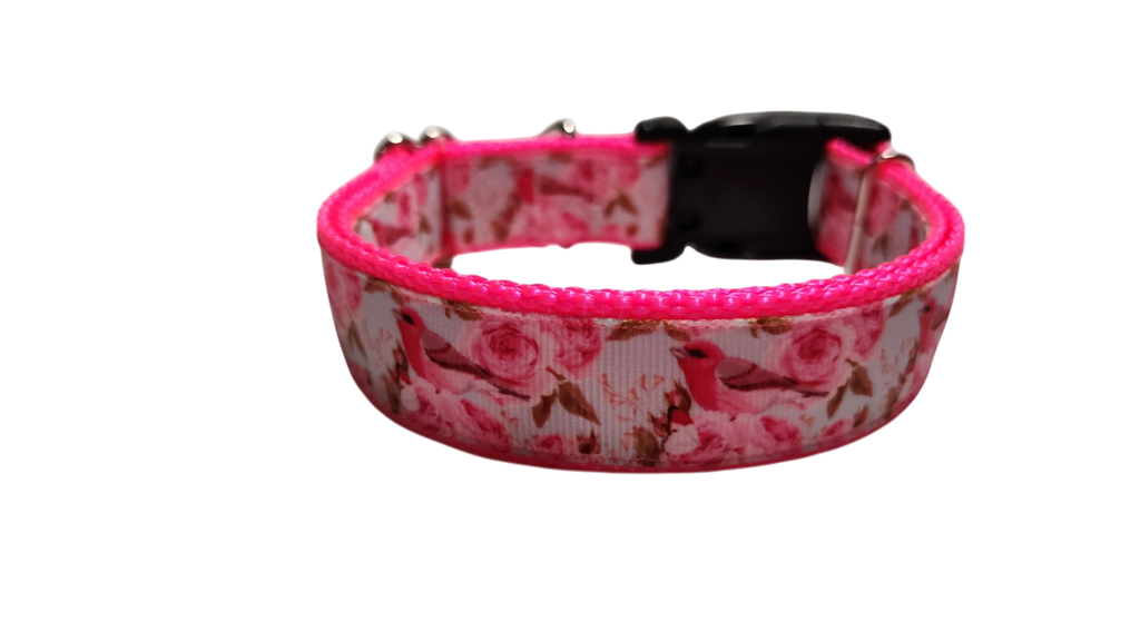 Rose Finch Bird Nylon Dog Collar