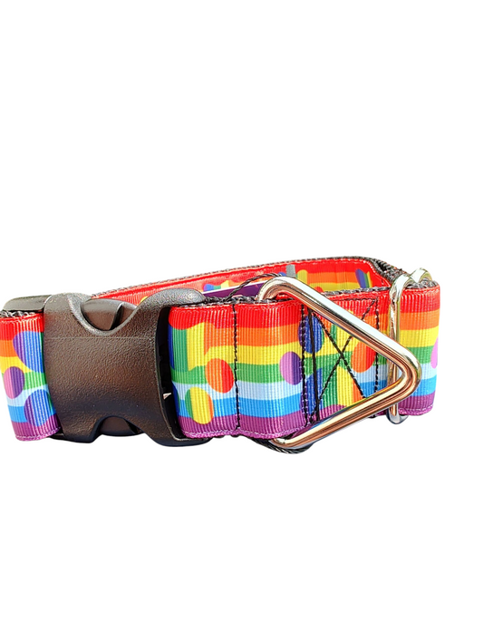 1.5" Wide Pride Paws Nylon Dog Collar | Purrfect Pet Kingdom