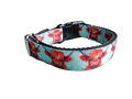 Highland Cows Nylon Dog Collar | Purrfect Pet Kingdom