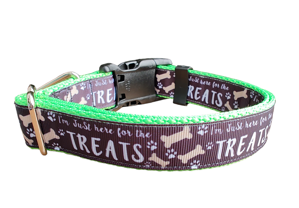 Here For The Treats Neon Green Nylon Dog Collar MD, LG, XL, Leash