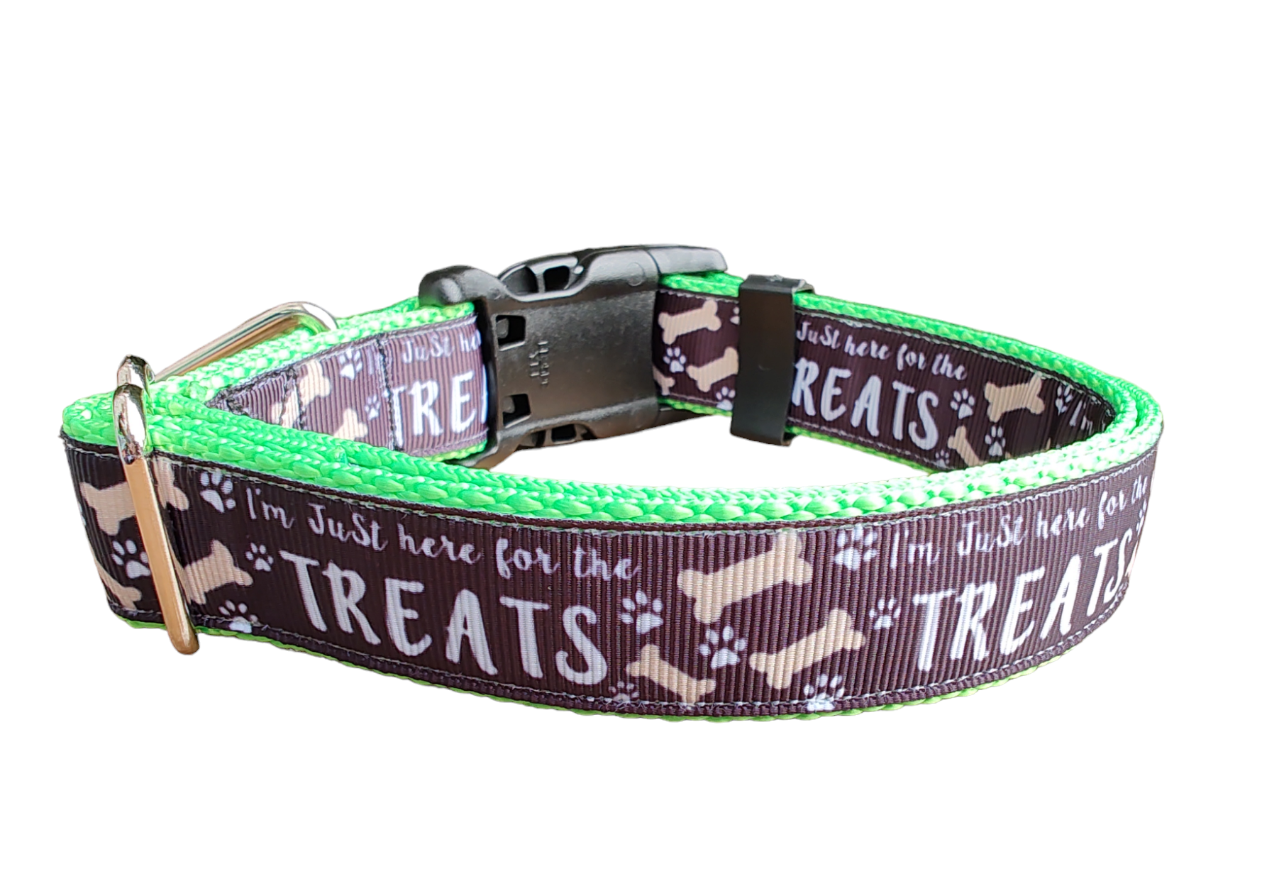 Here For The Treats Neon Green Nylon Dog Collar MD, LG, XL, Leash | Purrfect Pet Kingdom