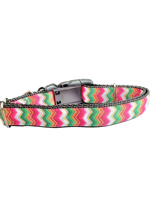 Summer Zig Zags Nylon Dog Collar | Purrfect Pet Kingdom