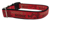 Boot Scootin Boogie Nylon Dog Collar