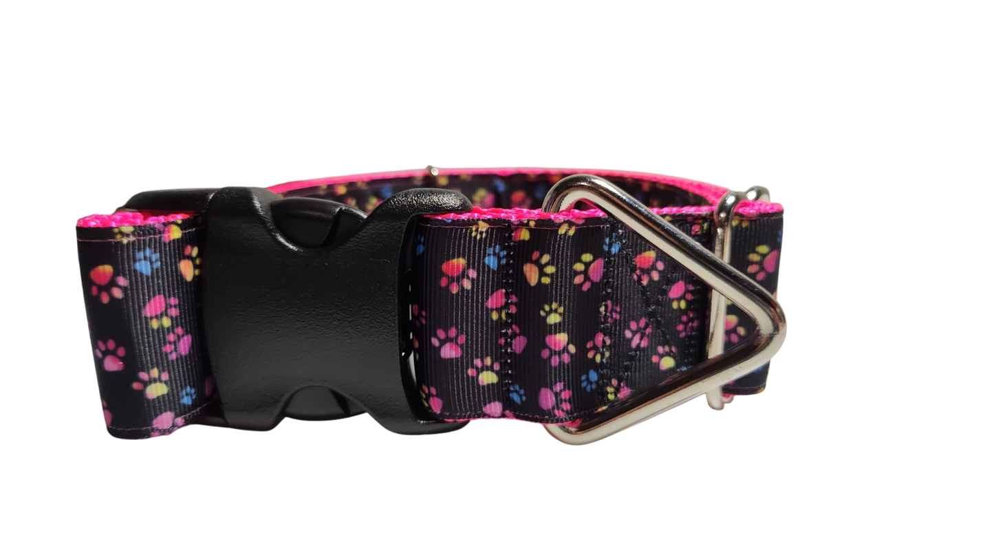 1.5" Wide Colorful Pawprints Nylon Dog Collar | Purrfect Pet Kingdom