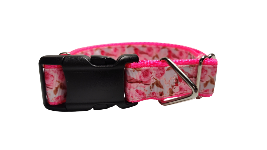 Rose Finch Bird Nylon Dog Collar