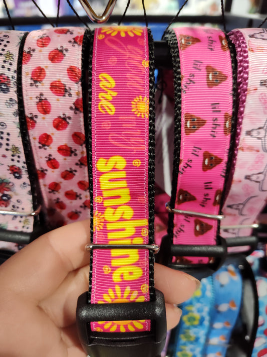 You Are My Sunshine Nylon Dog Collar | Purrfect Pet Kingdom