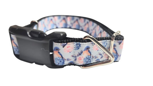 Blue Bird Nylon Dog Collar | Purrfect Pet Kingdom