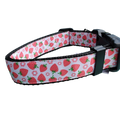 Strawberry Flowers Black Nylon Dog Collar MD, LG, XL, Leash