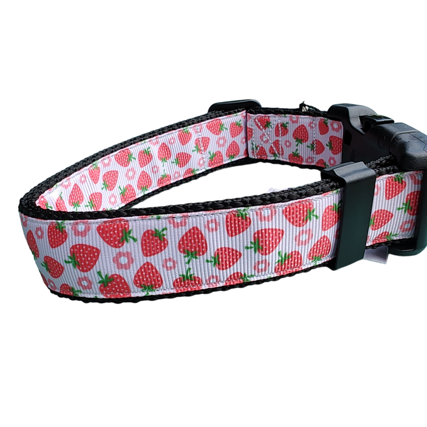 Strawberry Flowers Black Nylon Dog Collar MD, LG, XL, Leash | Purrfect Pet Kingdom