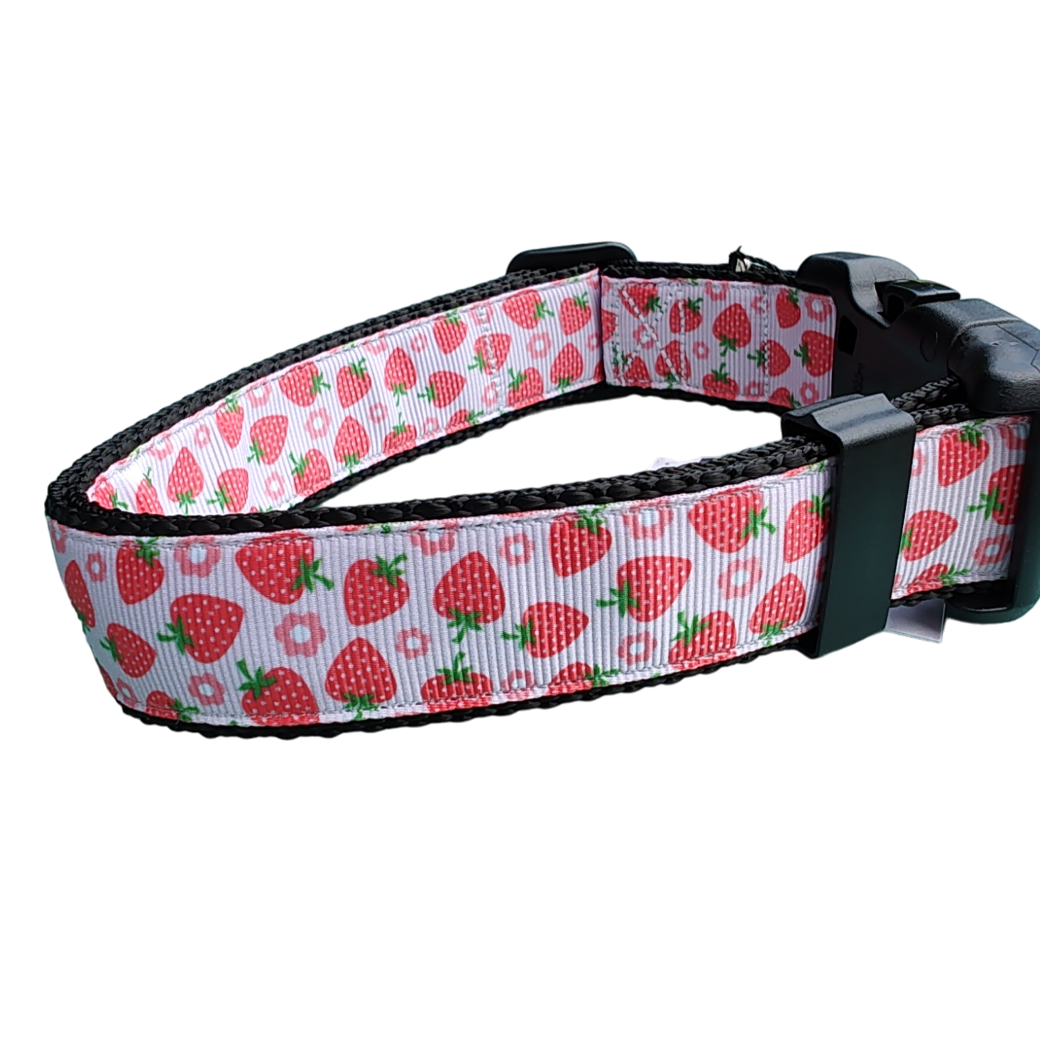 Strawberry Flowers Black Nylon Dog Collar MD, LG, XL, Leash