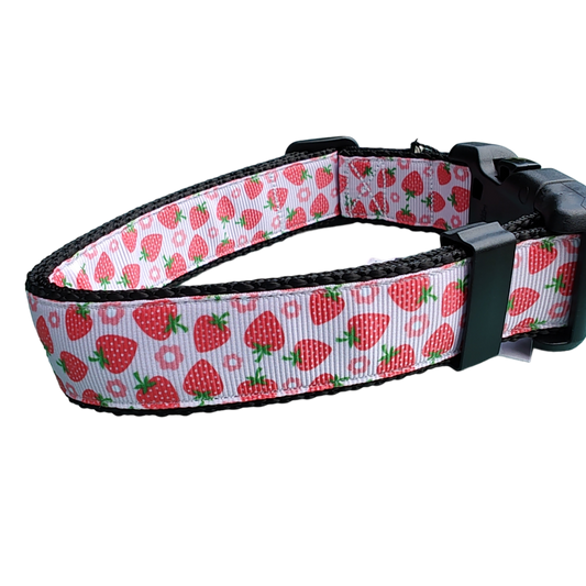 Strawberry Flowers Black Nylon Dog Collar MD, LG, XL, Leash | Purrfect Pet Kingdom