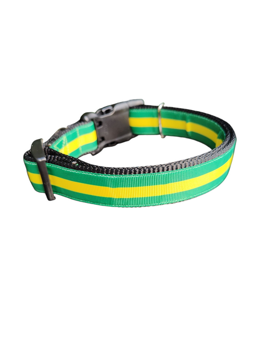 Green And Gold Nylon Dog Collar | Purrfect Pet Kingdom