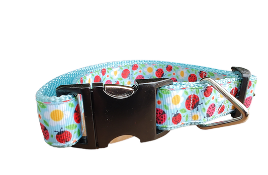 Ladybugs and Daisies Light Blue Nylon Dog Collar MD, LG, XL, Leash | Purrfect Pet Kingdom