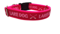 Lake Dog Pink Nylon Dog Collar