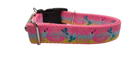 Pool Hair Don't Care Nylon Dog Collar | Purrfect Pet Kingdom