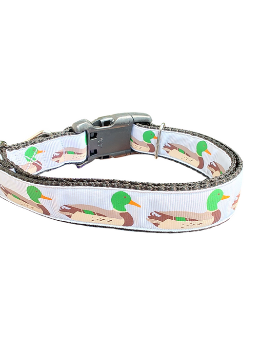 Swimming Ducks Nylon Dog Collar | Purrfect Pet Kingdom