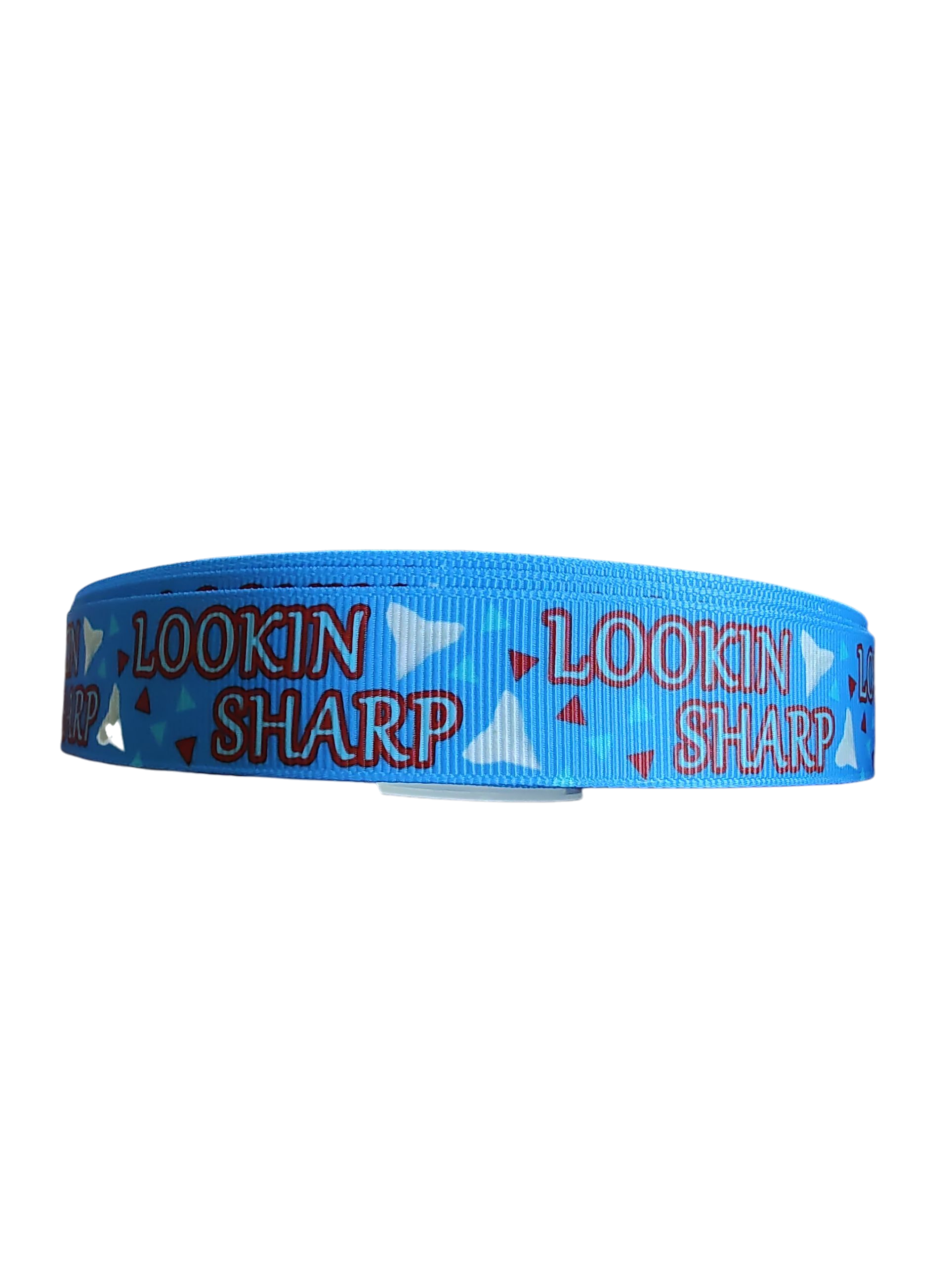 Lookin Sharp Nylon Dog Collar