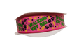 Walking Vet Bill Pink Nylon Dog Collar