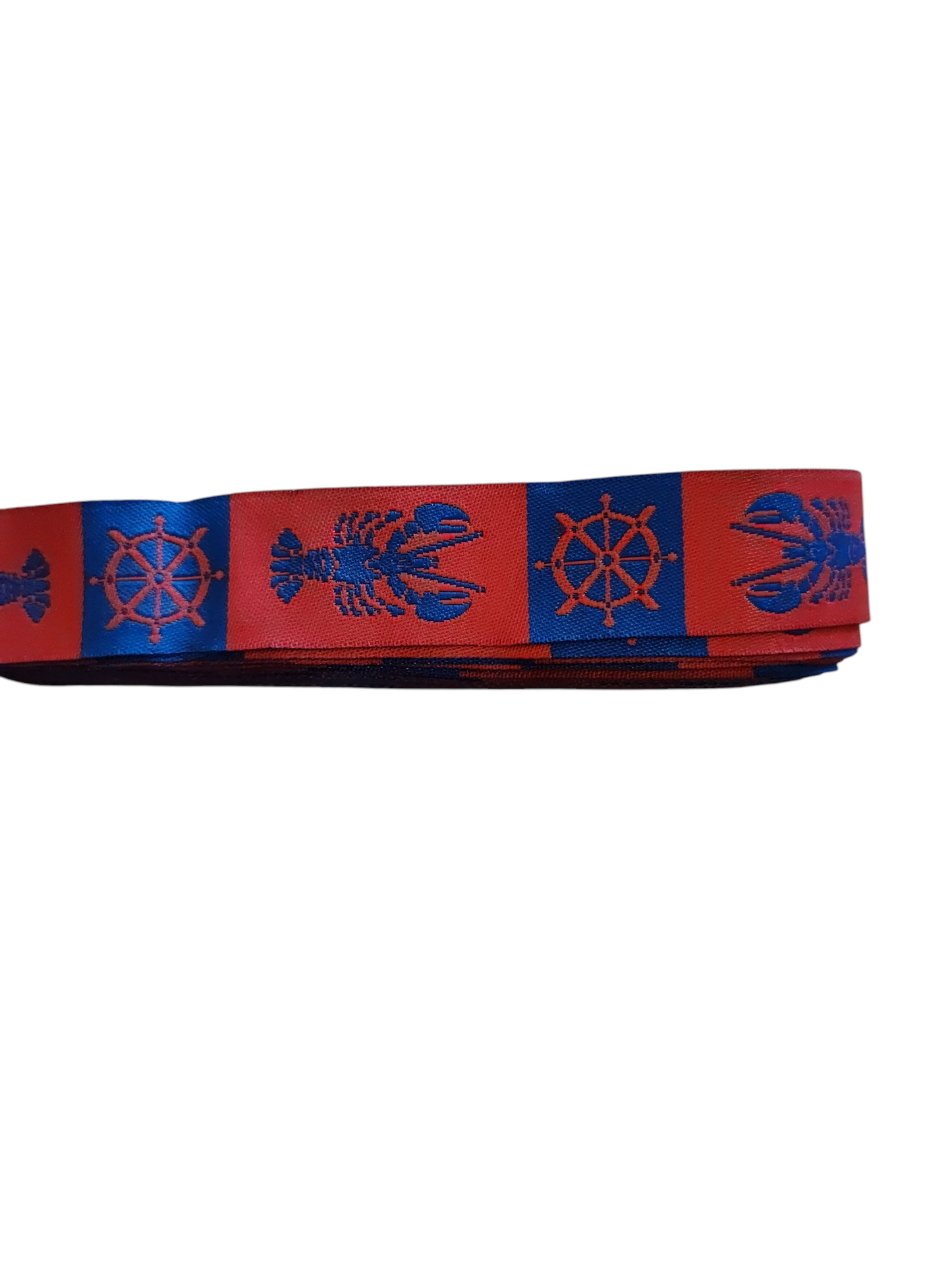 Lobsters and Wheels Nylon Dog Collar | Purrfect Pet Kingdom