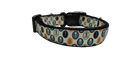 Squid Portraits Nylon Dog Collar