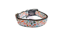 Feathers and Ferns Apothecary Nylon Dog Collar