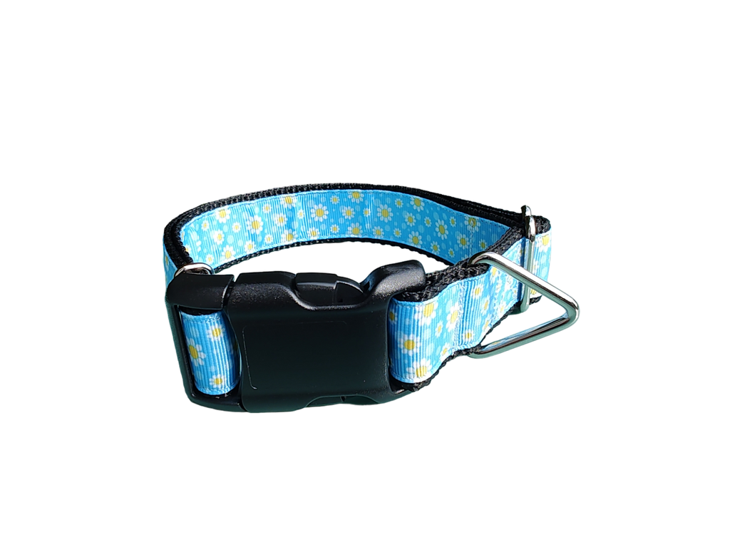 Daisies Nylon Dog Collar | Purrfect Pet Kingdom