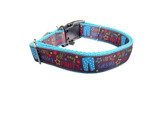 Sassy Pants Nylon Dog Collar | Purrfect Pet Kingdom