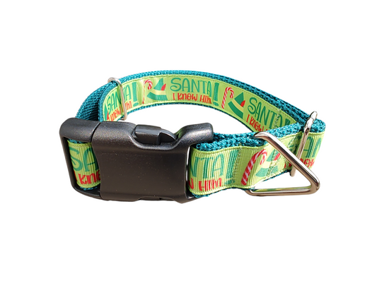 Santa I Know Him! Christmas Nylon Dog Collar | Purrfect Pet Kingdom