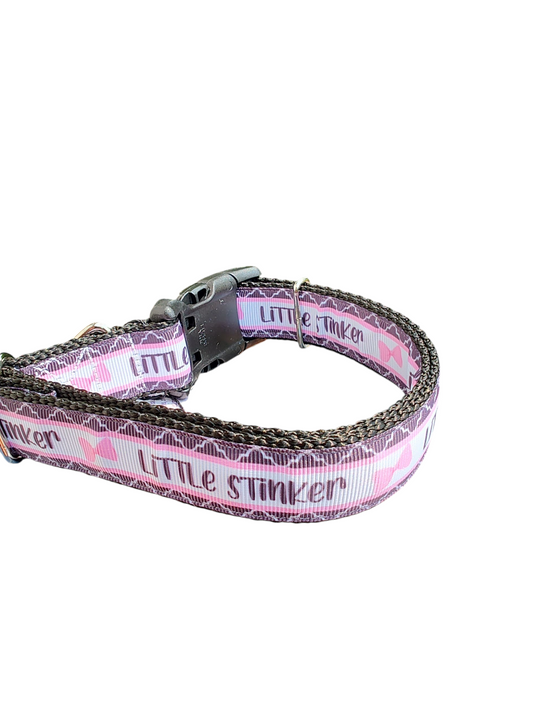 Little Stinker Nylon Dog Collar | Purrfect Pet Kingdom