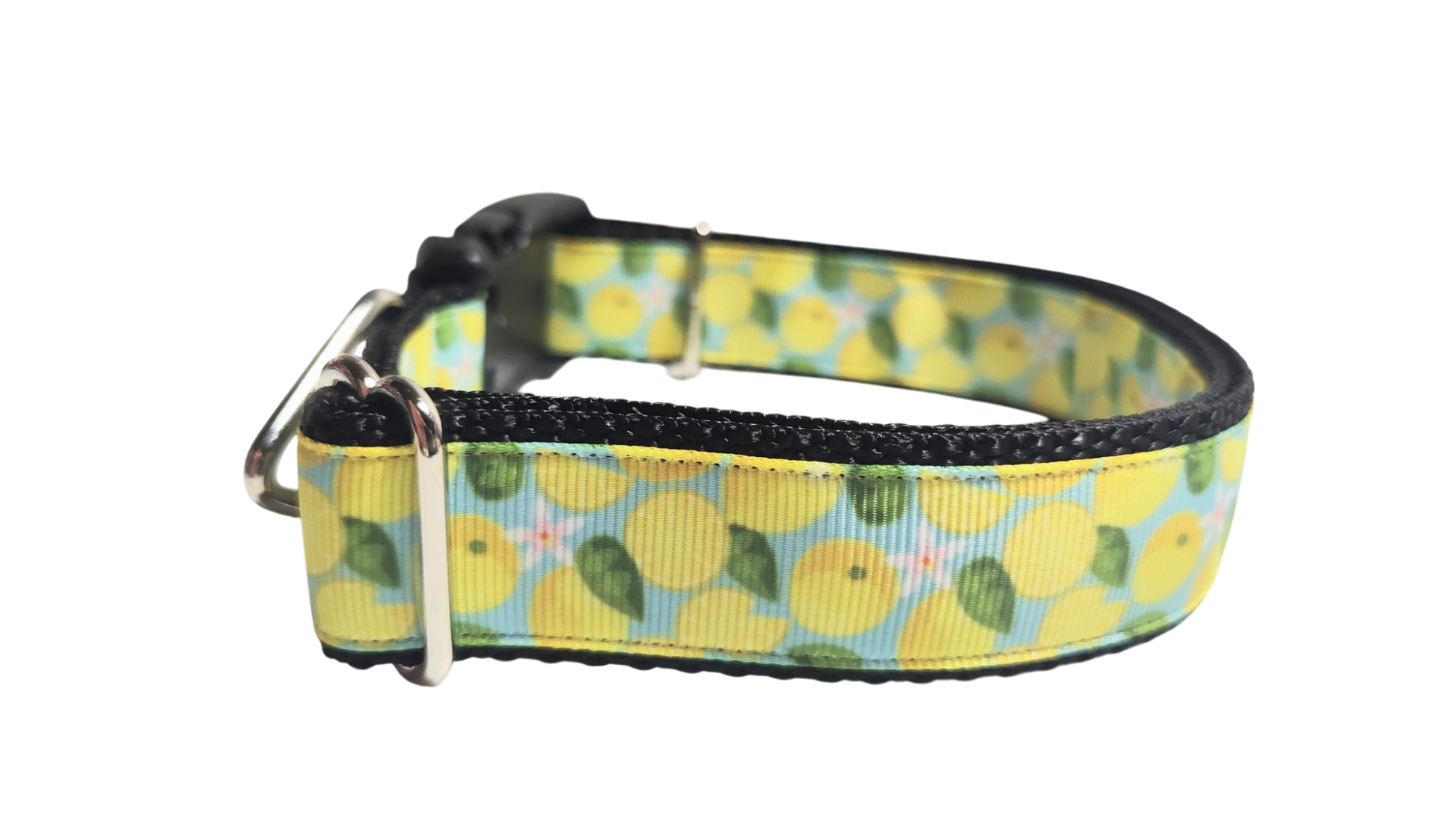 Lemons Nylon Dog Collar | Purrfect Pet Kingdom