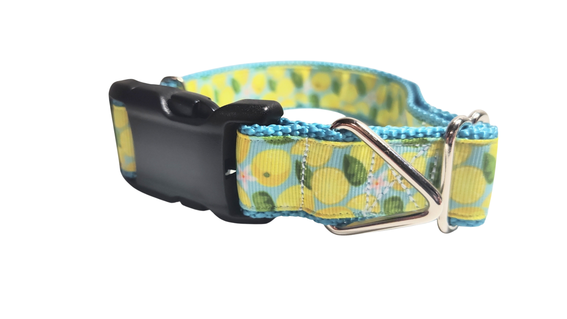 Lemons Nylon Dog Collar | Purrfect Pet Kingdom
