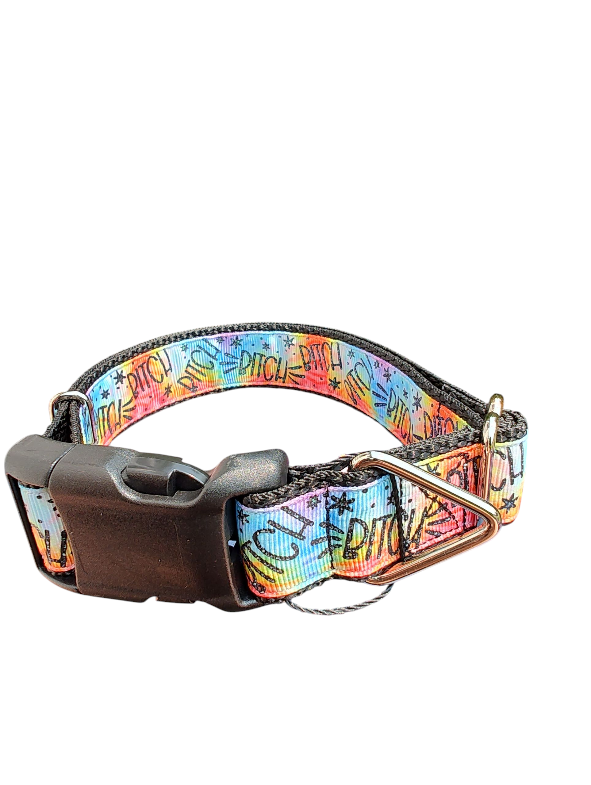 Bitch Rainbow Nylon Dog Collar | Purrfect Pet Kingdom