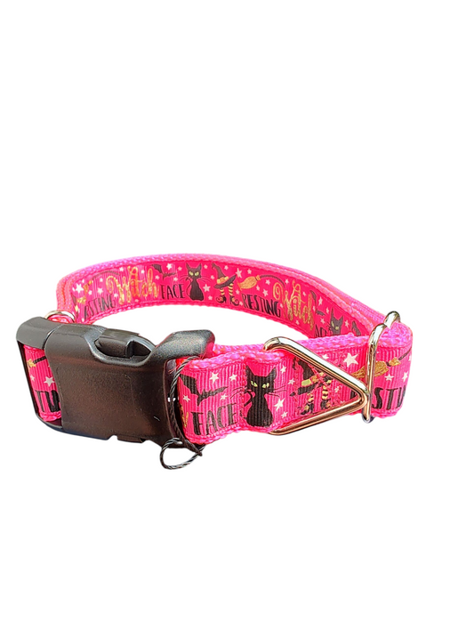 Resting Witch Face Nylon Dog Collar | Purrfect Pet Kingdom