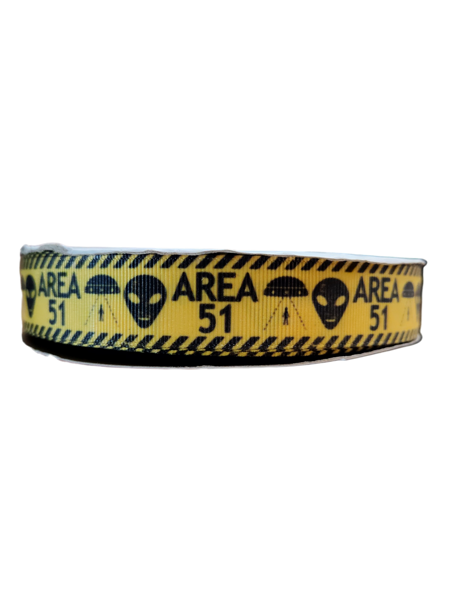 Area 51 Nylon Dog Collar