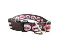 Christmas Red Truck Nylon Dog Collar | Purrfect Pet Kingdom