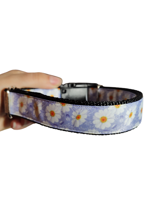 White Flowers Nylon Dog Collar | Purrfect Pet Kingdom