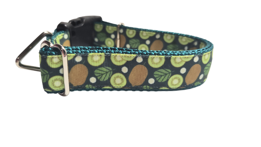 Kiwi Fruit Nylon Dog Collar | Purrfect Pet Kingdom