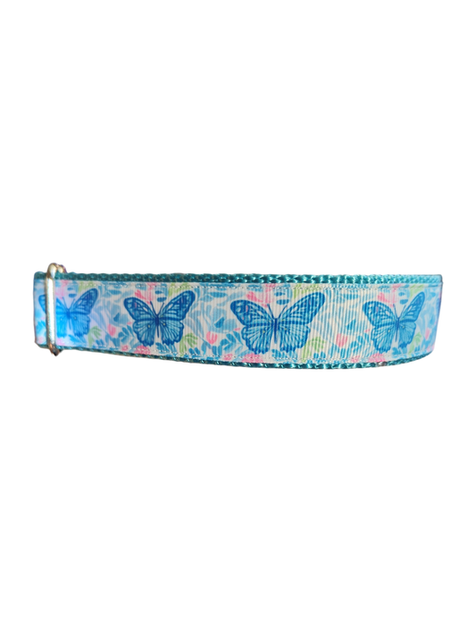 Blue Butterflies Nylon Dog Collar | Purrfect Pet Kingdom