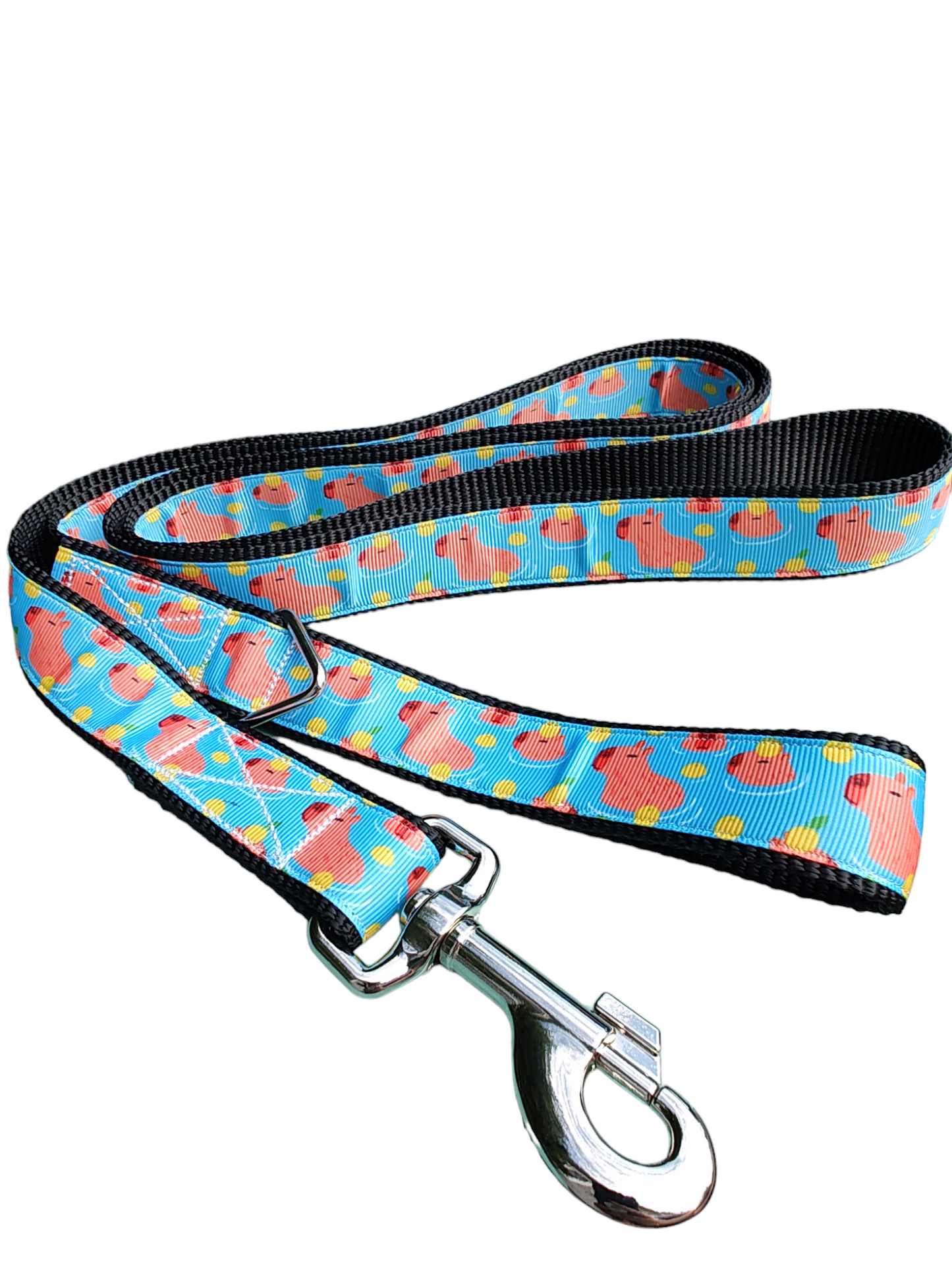 Capybara Nylon Dog Collar | Purrfect Pet Kingdom