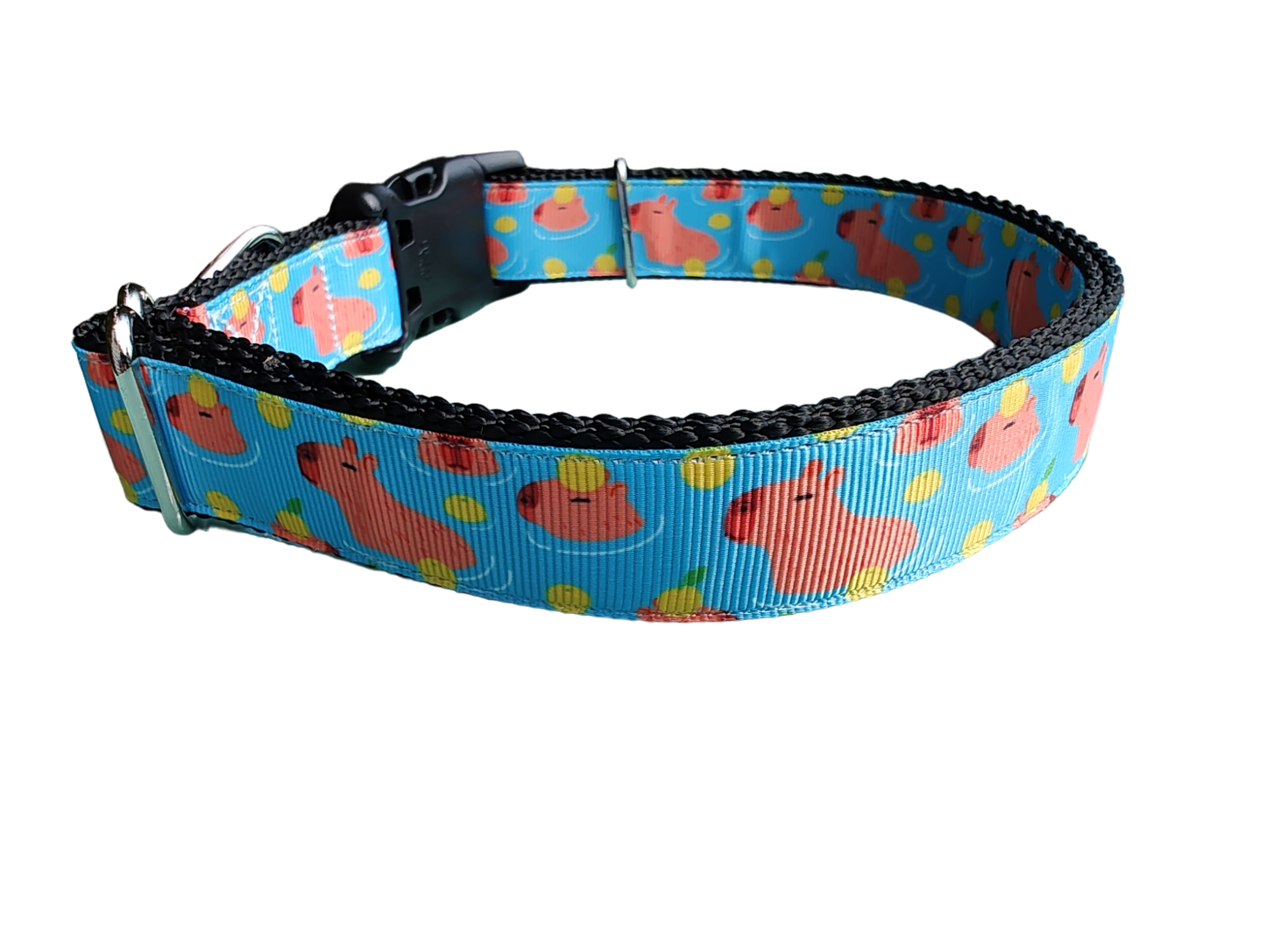 Capybara Nylon Dog Collar | Purrfect Pet Kingdom
