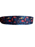 Reef Fish Nylon Dog Collar