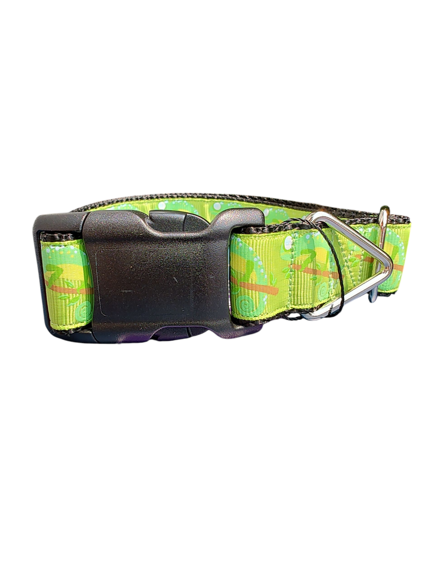 Chameleon Nylon Dog Collar | Purrfect Pet Kingdom