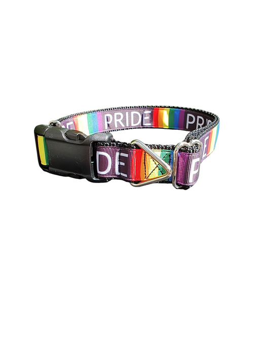 Pride Rainbow Nylon Dog Collar | Purrfect Pet Kingdom