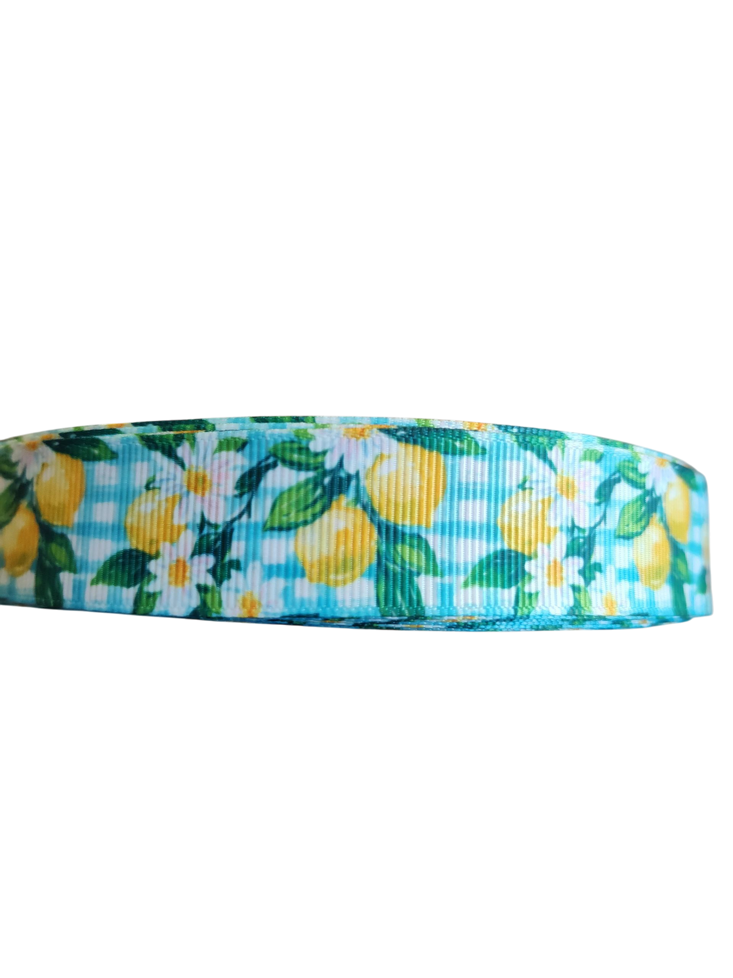 Gingham Lemons Nylon Dog Collar | Purrfect Pet Kingdom