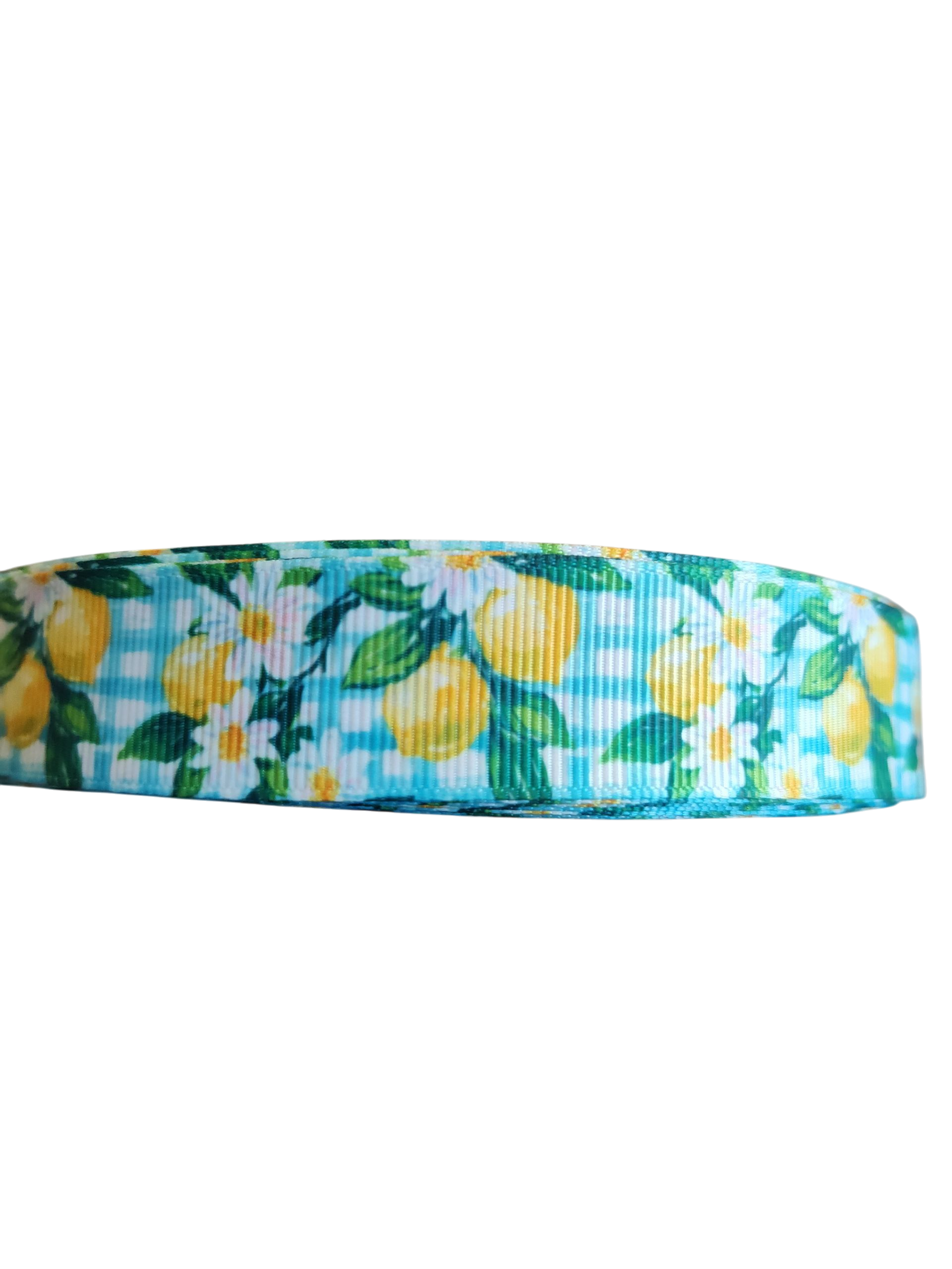 Gingham Lemons Nylon Dog Collar | Purrfect Pet Kingdom