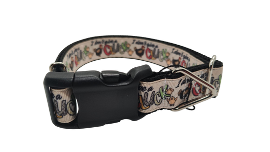 Don't Give A Cluck Nylon Dog Collar | Purrfect Pet Kingdom