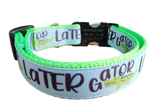 Later Gator Neon Green Nylon Dog Collar MD, LG, XL, Leash, Martingale | Purrfect Pet Kingdom