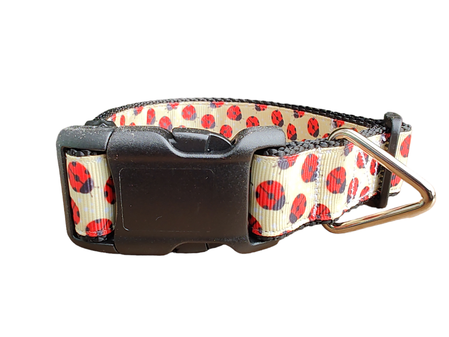 Yellow Ladybugs Black Nylon Dog Collar MD, LG, XL, Leash | Purrfect Pet Kingdom