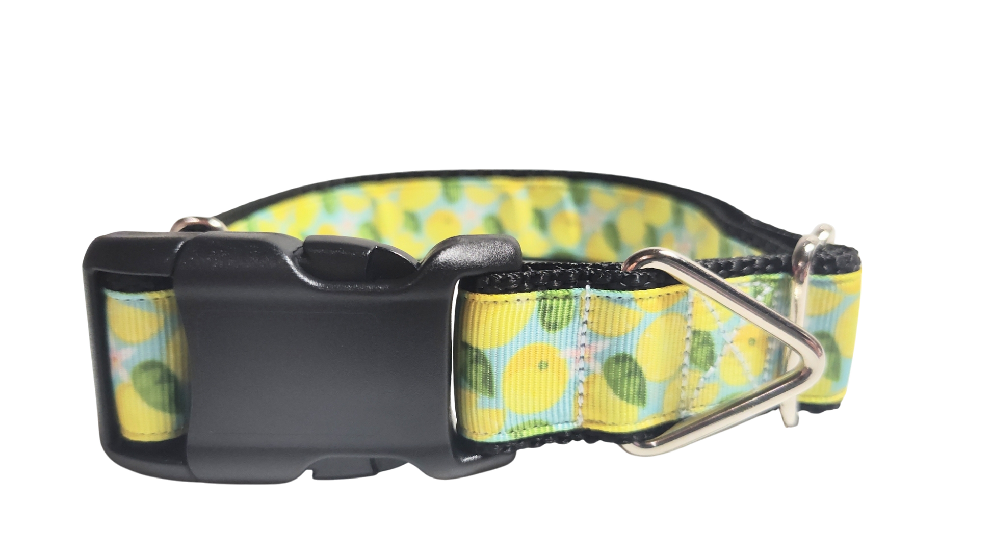 Lemons Nylon Dog Collar | Purrfect Pet Kingdom