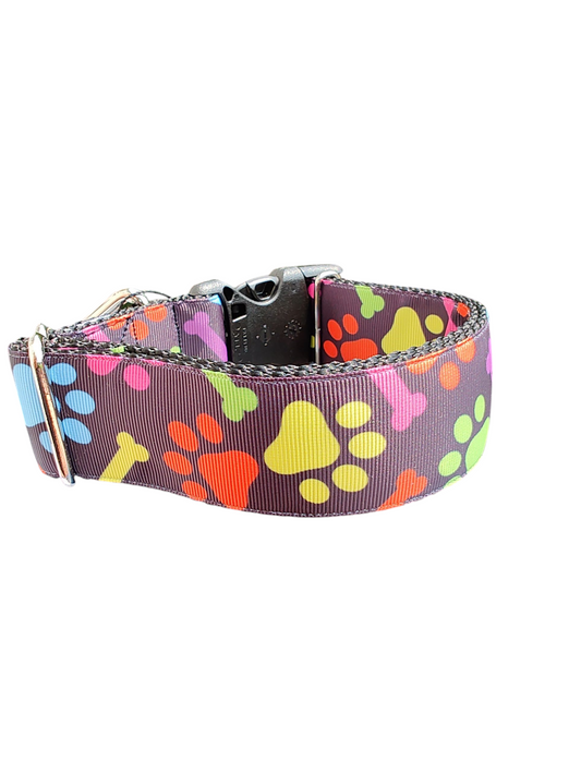 1.5" Wide Rainbow Bones and Pawprints Nylon Dog Collar | Purrfect Pet Kingdom